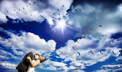 Elaine Green Photographer