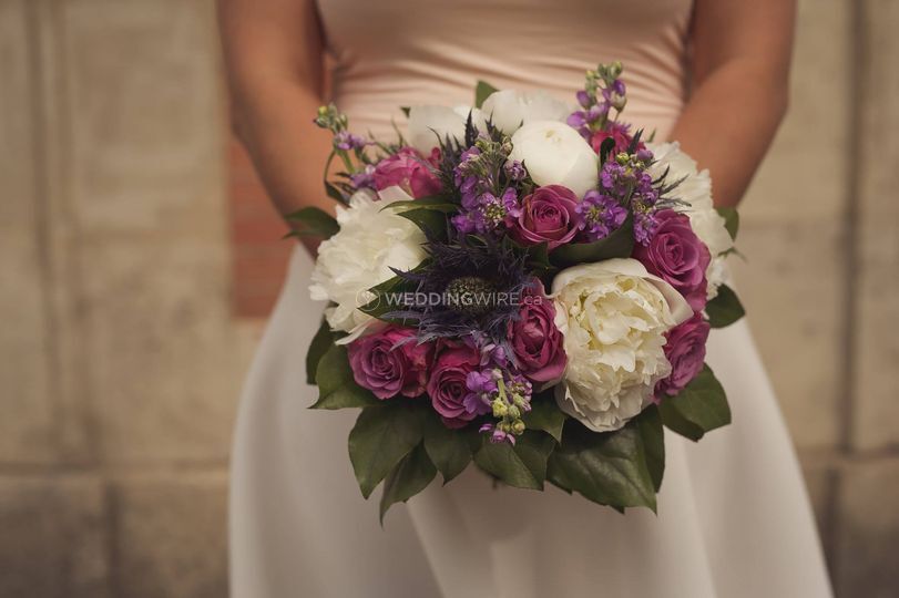 Caitlin Cleveland Photography