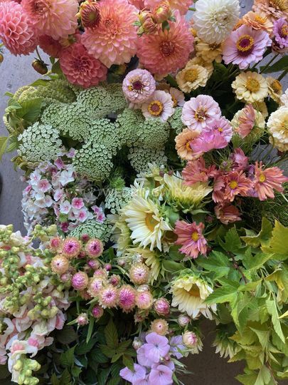 River and Sea Flowers