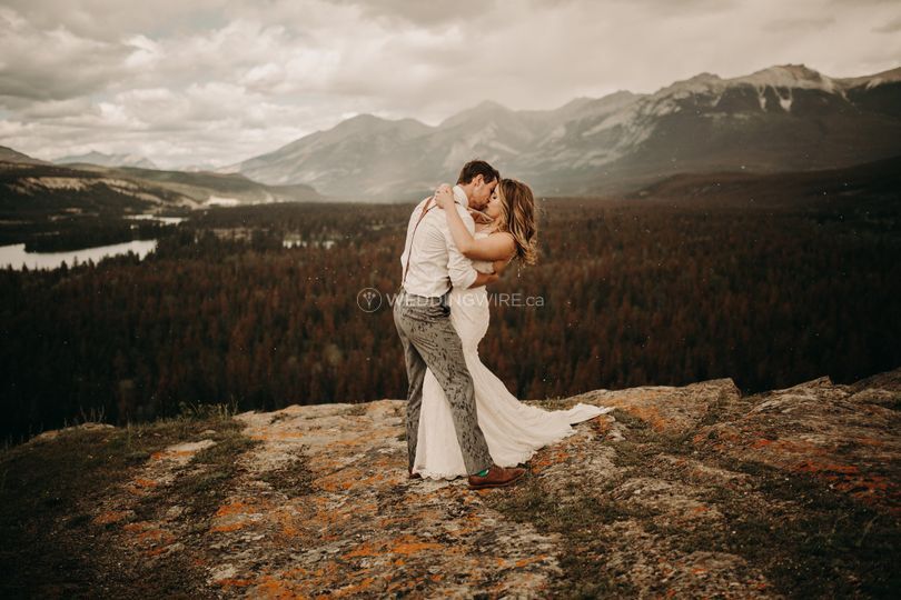 The Cypress Collective