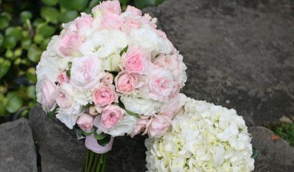 Elegant Creations
