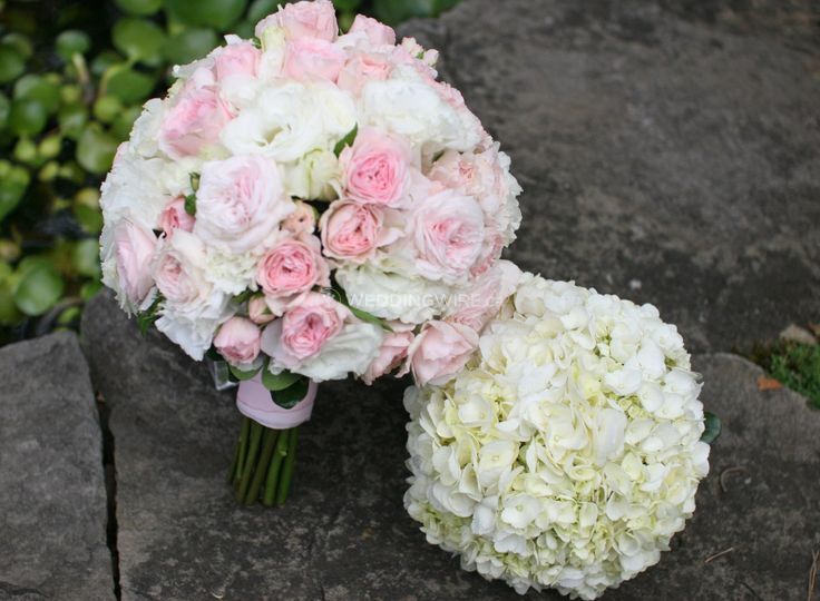 Elegant Creations