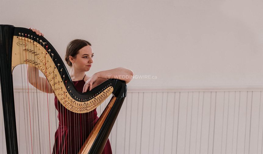 Hannah Warren, Harpist