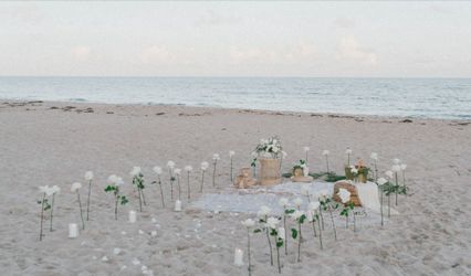 Madeleine Kay Events