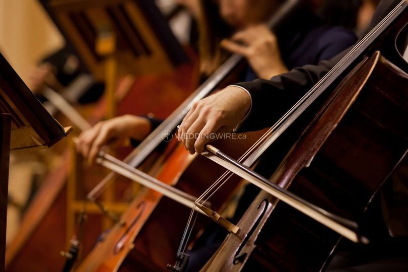 Epic Strings