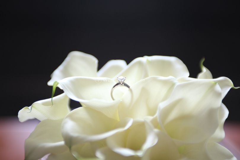 Dukes & Daisies Weddings & Events