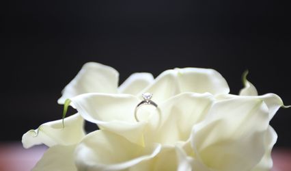 Dukes & Daisies Weddings & Events