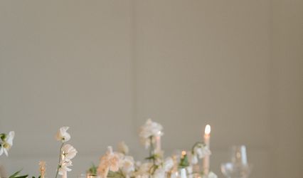 Danielle Jackson Events