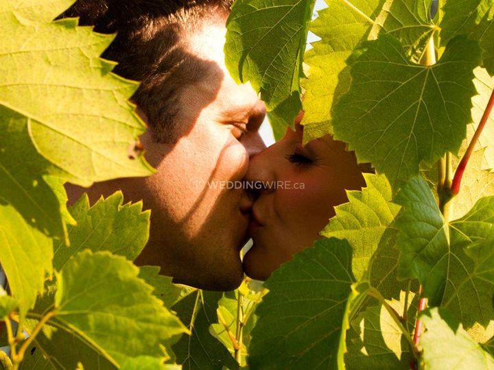 La Halte Des Pélerins