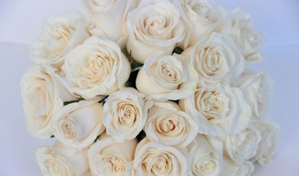 Stellina Flowers