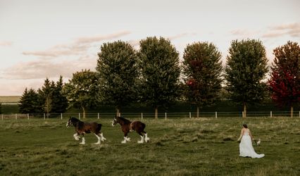 Olivia Rutledge Photography