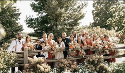 Karley Shute Artistry