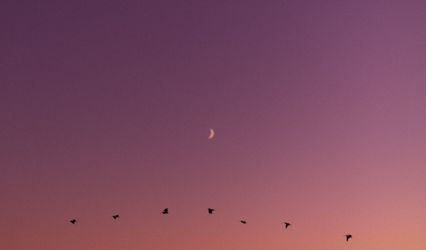 Elise Marsman Photography