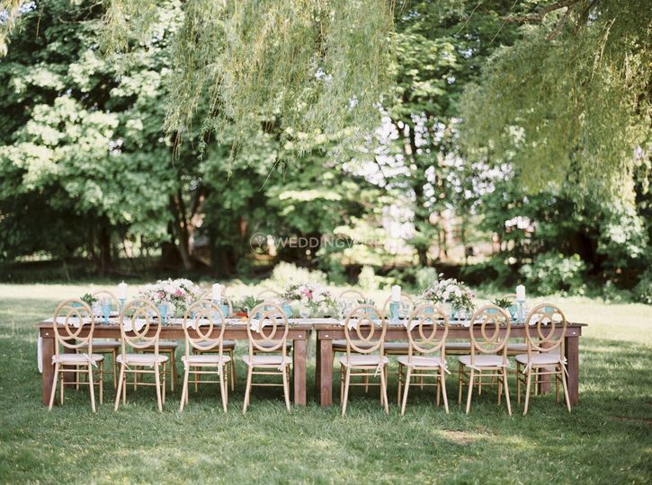 Spunky Sapphire | Events & Design