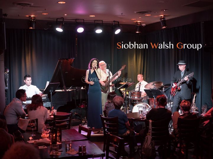 Siobhan Walsh Group