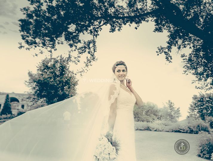 CharlieDesigner Wedding Photography