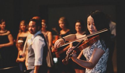 Precious Moment Violin Service