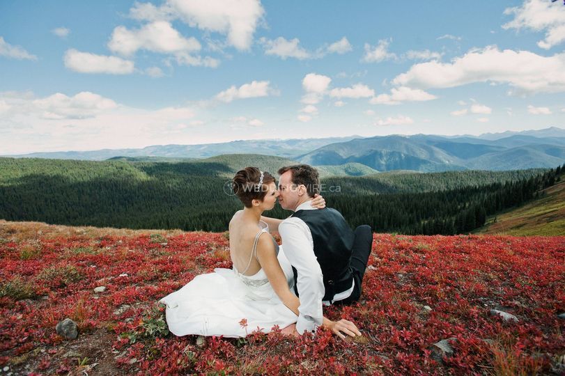 Jayme Morrison Photography