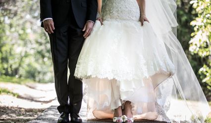 Dream Day Studios