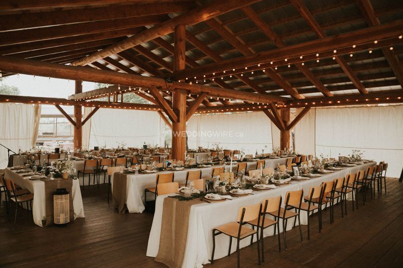 Daisy Dream Events