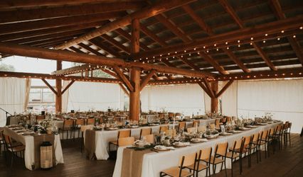 Daisy Dream Events