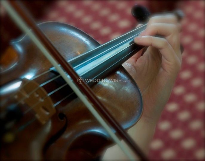 Harbour Strings