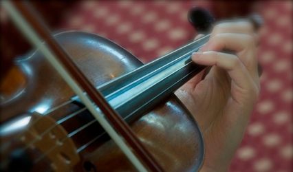 Harbour Strings