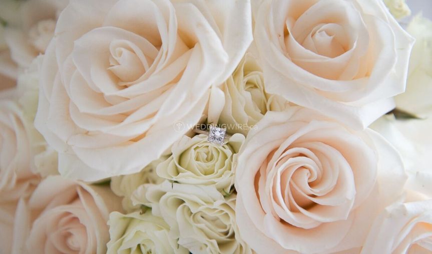 Megan Pesant Photography