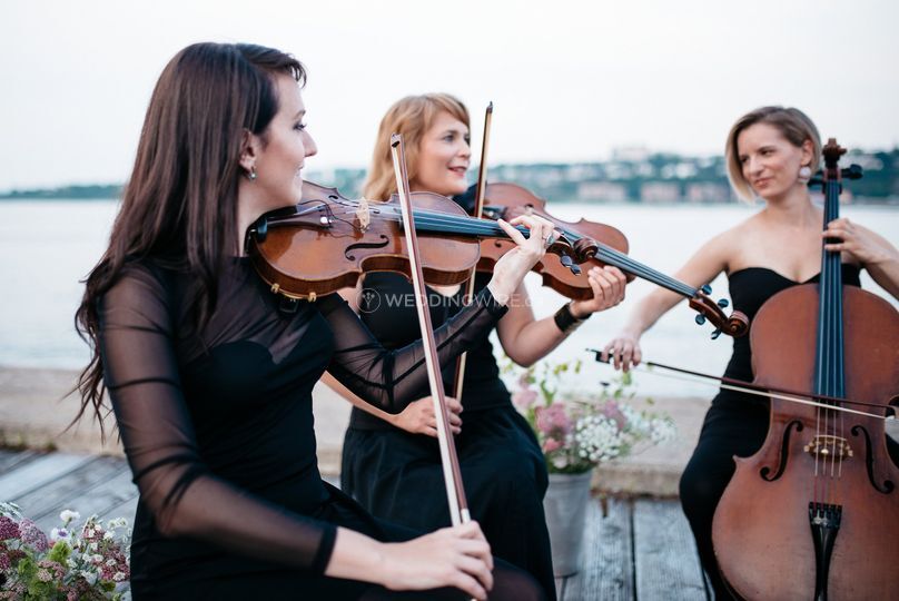Collectif de la Cité, String ensembles