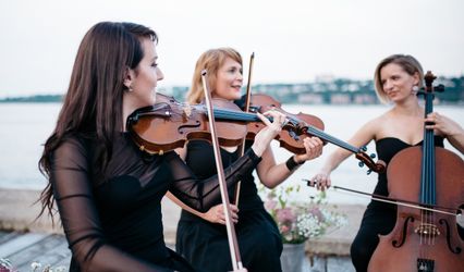 Collectif de la Cité, String ensembles