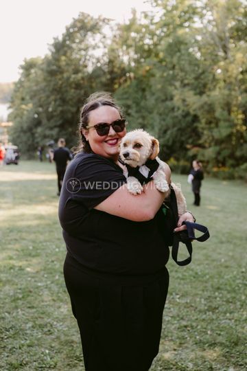 Royal Paws Pet Services