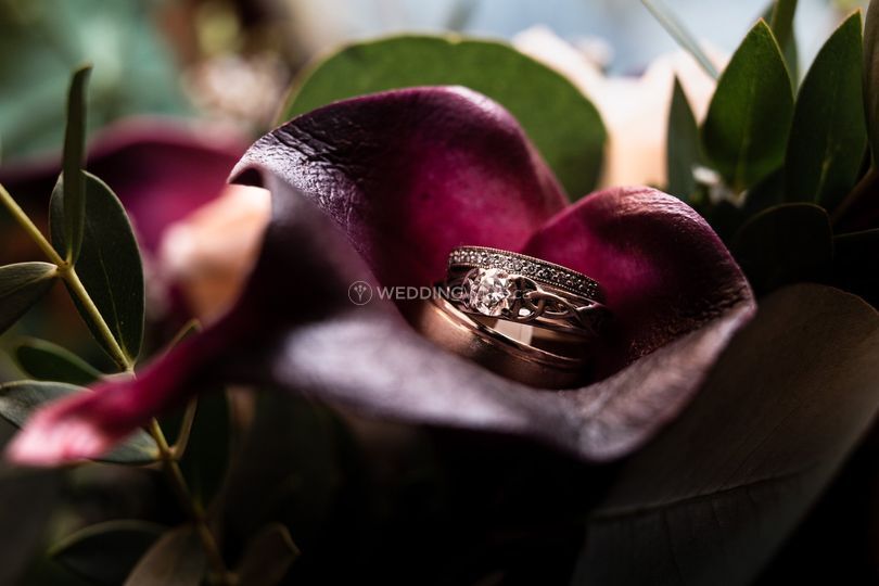 Sarah Sarty Photography