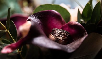 Sarah Sarty Photography