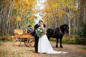 BigMike Photos Ltd