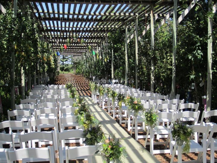 Enchanted Bliss Events Inc.