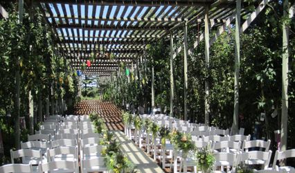 Enchanted Bliss Events Inc.