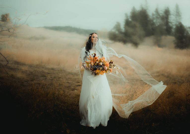 Faint of Heart Events