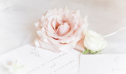 Lisa Rivard Photography