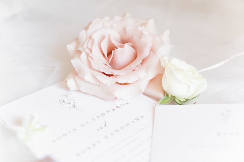 Lisa Rivard Photography