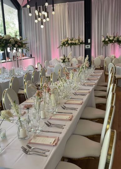 Showdesign - Event Rentals