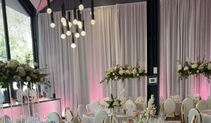 Showdesign - Event Rentals