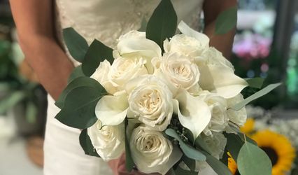 Terra Flowers & Flavours