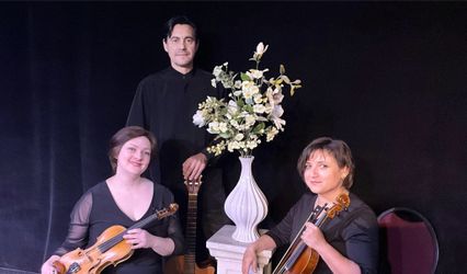 Violli Trio
