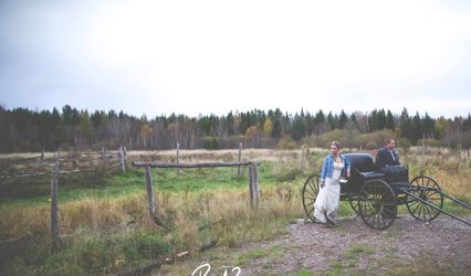 RadImagery Photography