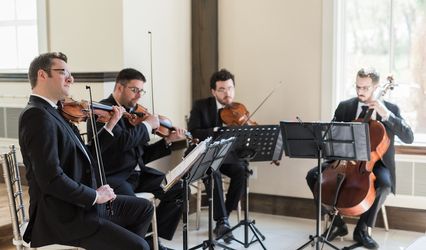 GTA STRINGS - String Quartet