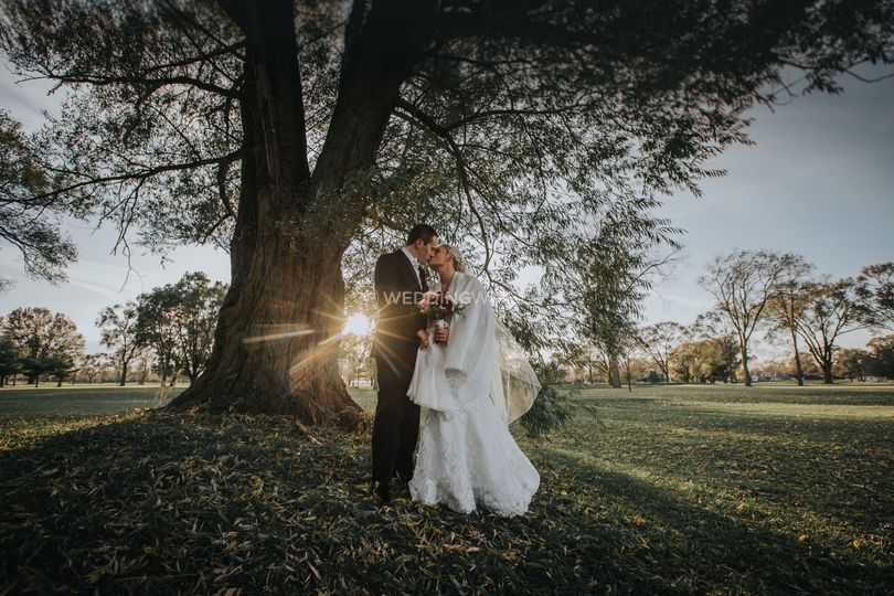Ivy+Oak