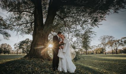 Ivy+Oak