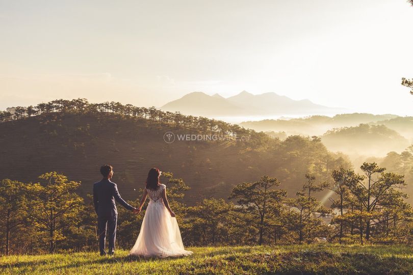 Barrie Wedding Photography