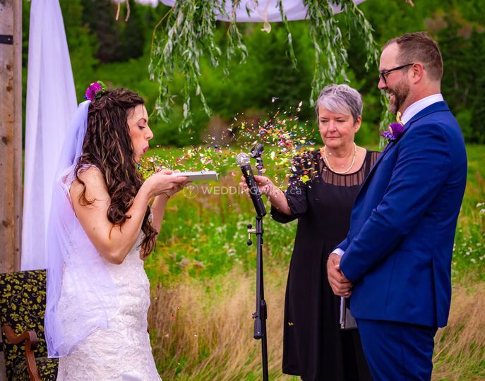 Charlotte P Photography