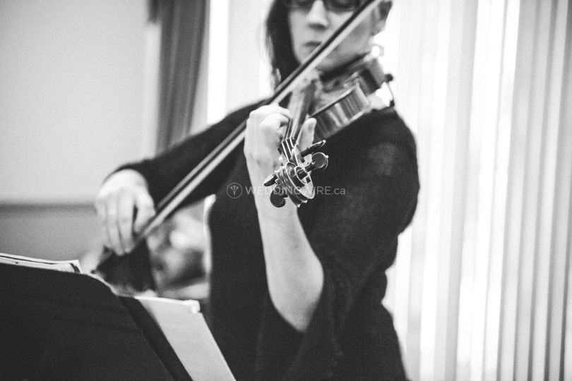 Rhonda Lynn Violin